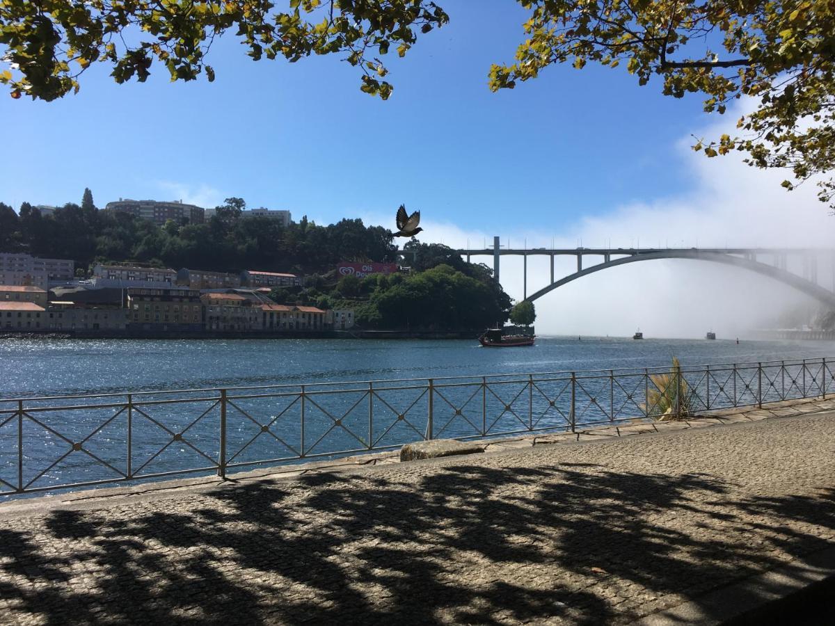 Loveporto Varanda/Jardim@C.Hist Zewnętrze zdjęcie
